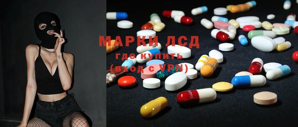 spice Аркадак