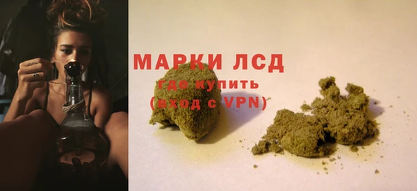 spice Аркадак