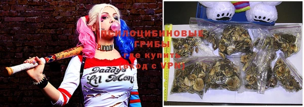 spice Аркадак