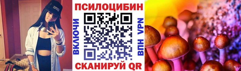 Галлюциногенные грибы GOLDEN TEACHER  где найти   Туринск 
